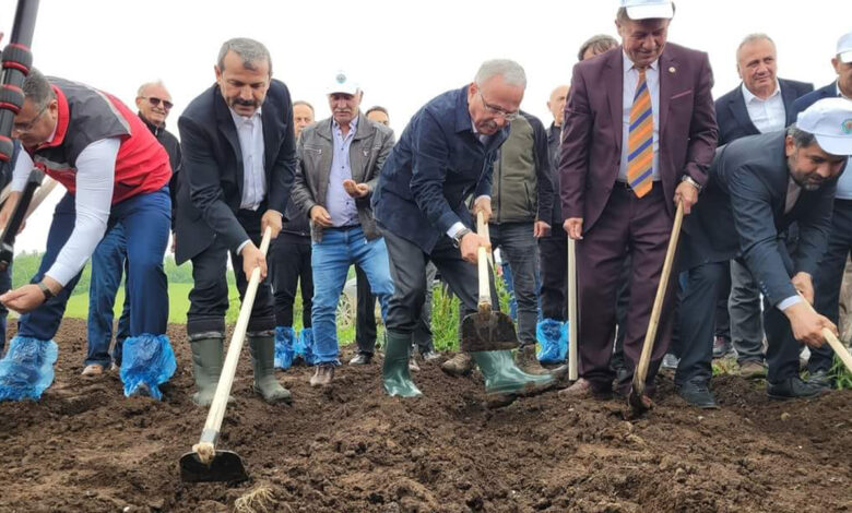 Akkuş Şeker Fasülyesi Ekimi Başladı 1