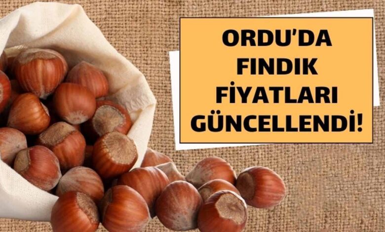 ordu fındık fiyatları