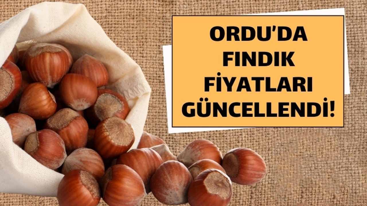 ordu fındık fiyatları